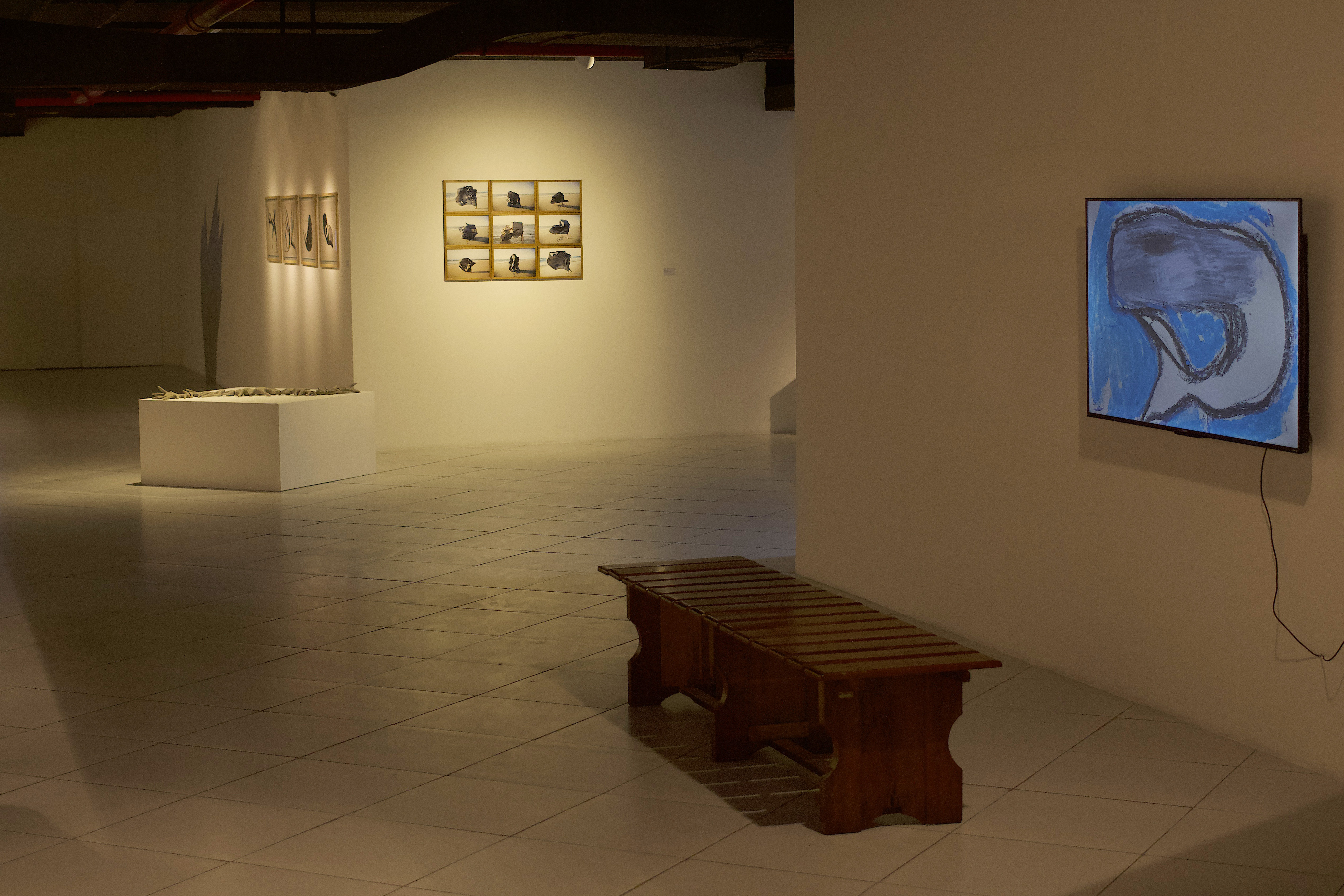 Galeria de Arte Archidy Picado